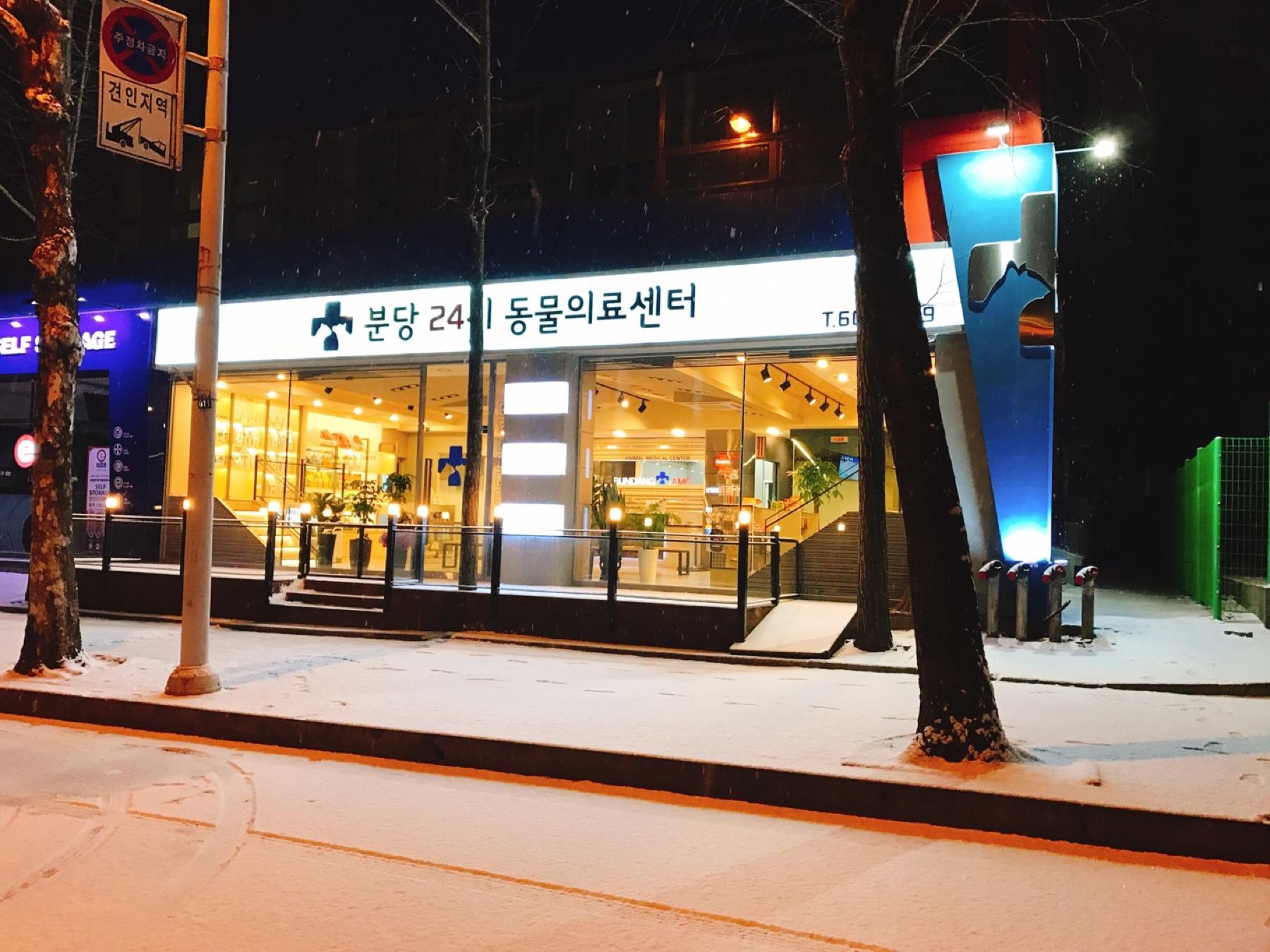 분당24시 동물의료센터 외부 전경